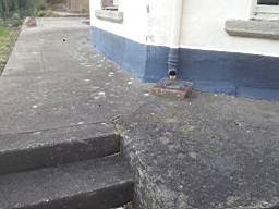 fkillineybeforeexternal 1285.jpg